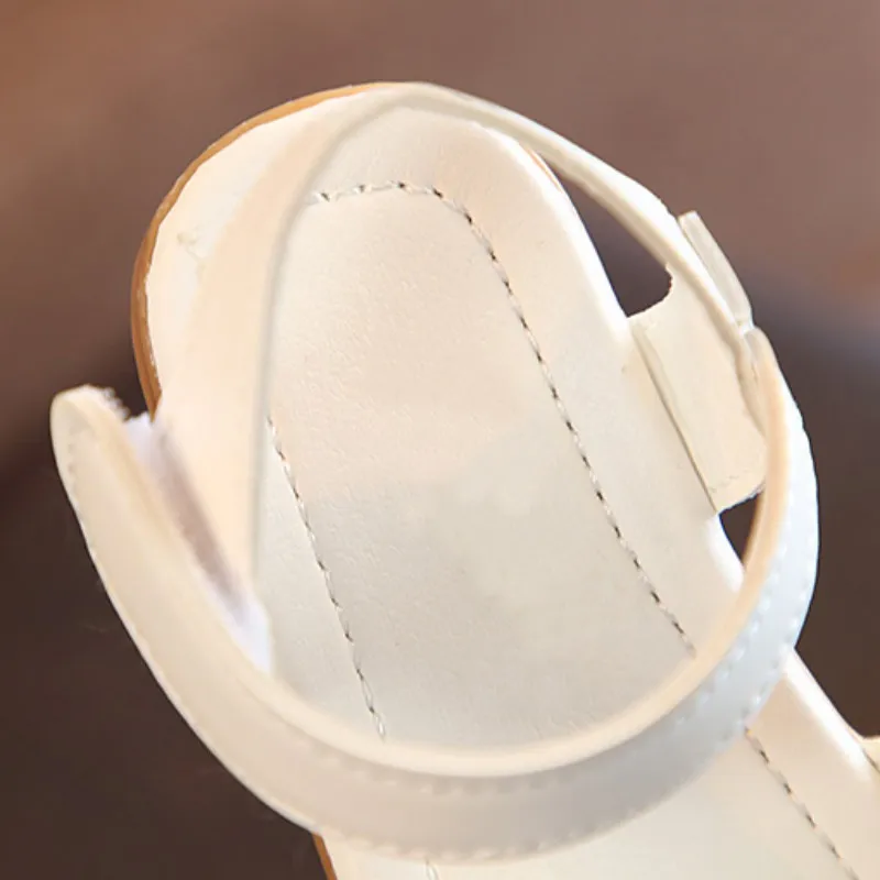ZM660W (5)
