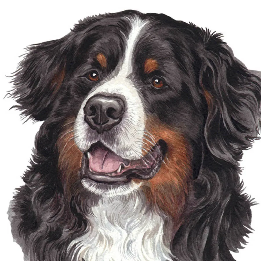 Мозаика полностью уложенная Daimond картина вышивка щенок Бернская горная собака 5D алмазная картина Собака Вышивка крестиком домашний декор ручной работы
