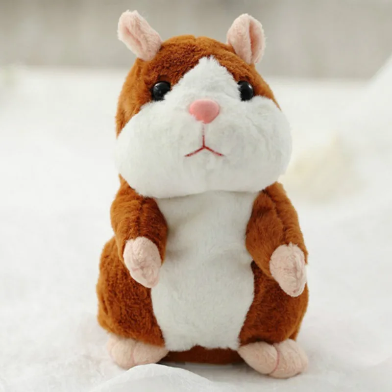 Hamster 6