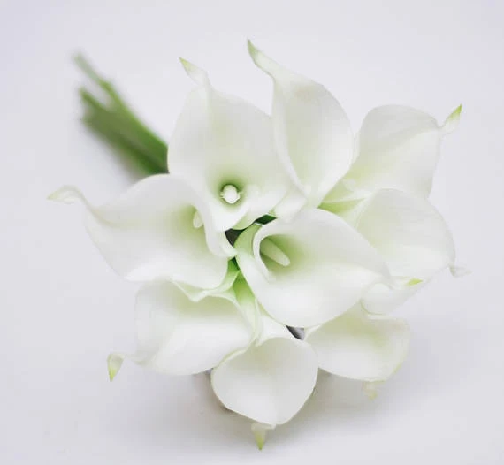 Nyata Sentuh Calla Lily Putih Bunga Tangan Pengantin Pernikahan Centerpieces Dekorasi Rumah Boutonnieres Korsase Bunga Sentuhan Nyata Touch Flower Real Touch Flowersreal Touch Calla Aliexpress