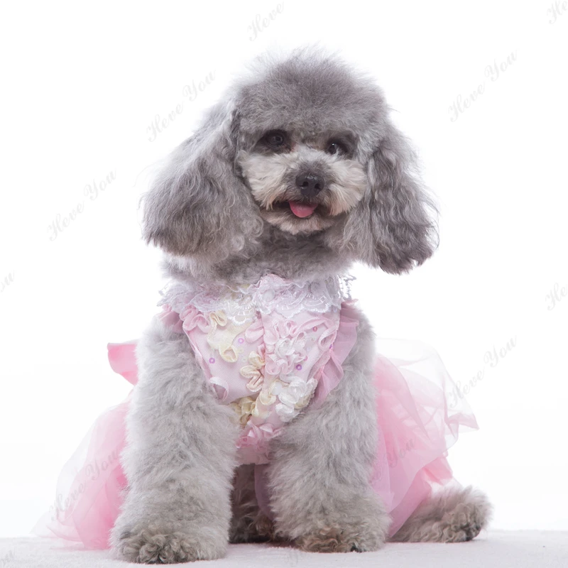 Heve вы Мода Собака платье для маленьких собак Pet вечерние юбка с кружевным бантом юбка песок собаки чихуахуа платья для домашних животных cat