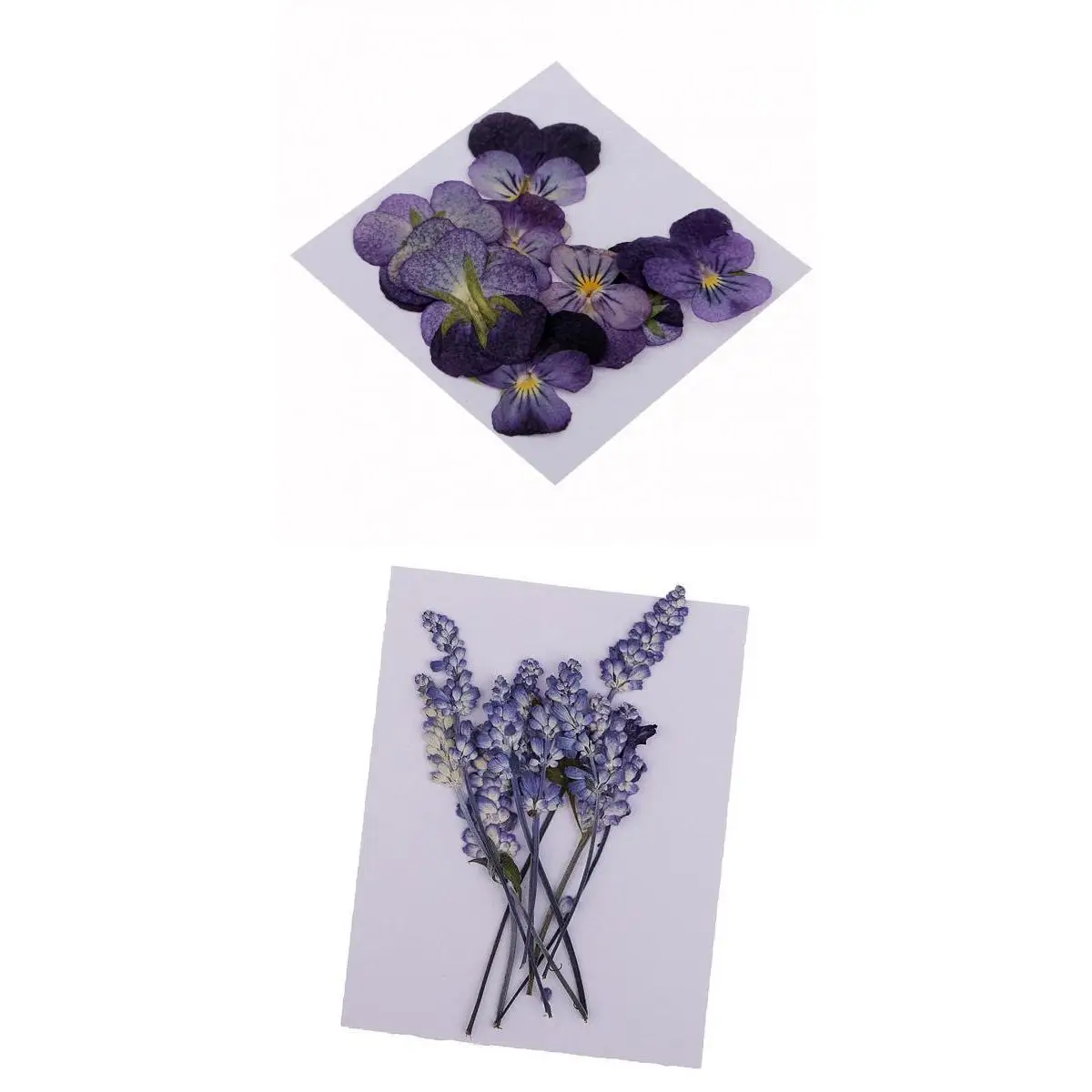 22x Pressed Dried Flowers Real Violet Sage DIY Art Crafts Scrapbooking for Handmade Bookmarks Album Frame Decor