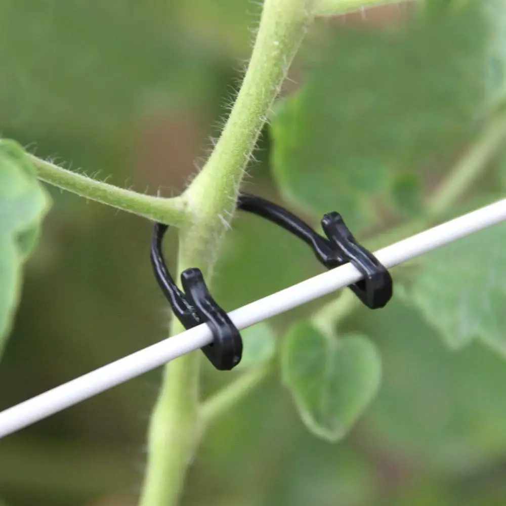 

100pcs/lot Self-Locking Plant Vines Fastener Tied Buckle Hook Vegetable Grafting Clips Agricultural Greenhouse Garden Supplies