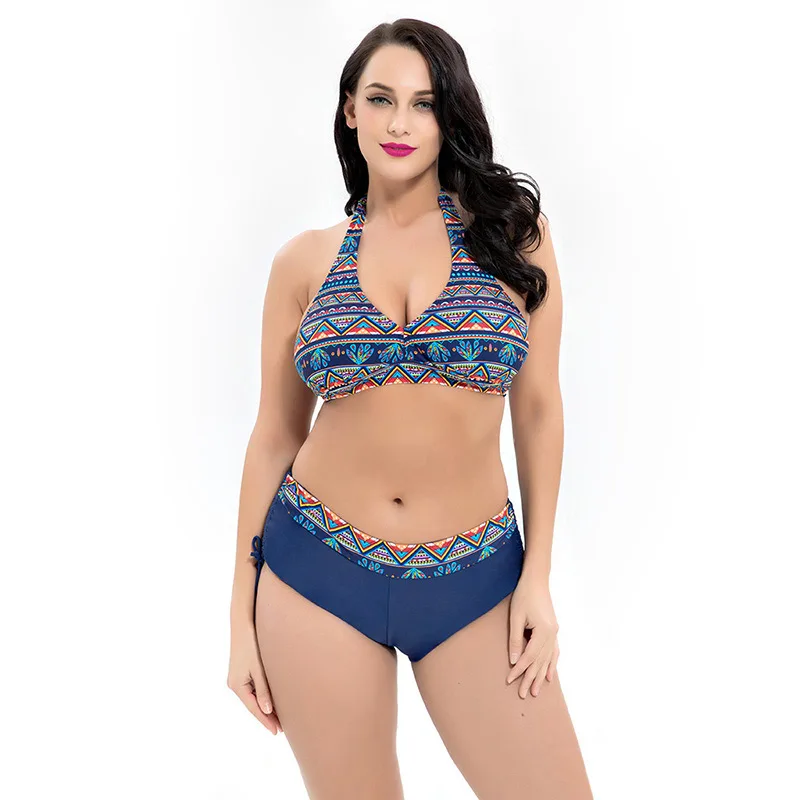 

Free Wire Bikinis Women Sexy Halter Neck Swimsuit Lady Large Size Push Up Bikini Soft Bra Swimwear Big Woman Beach Bathing Suit