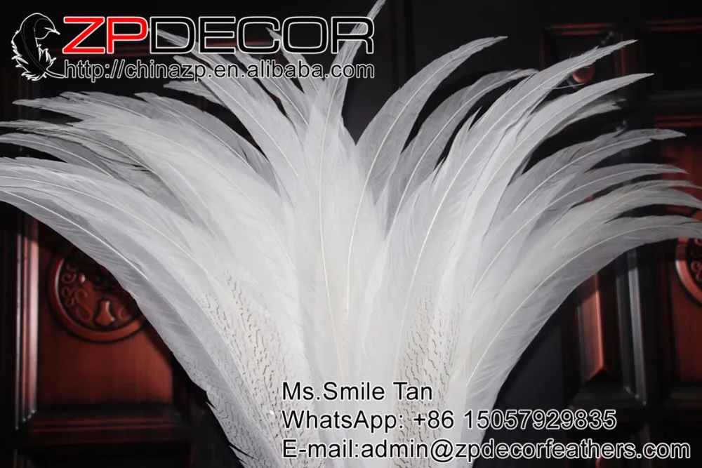 Розничная и оптовая продажа от ZPDECOR 29 30 дюймов (75 80 см) 20 шт./лот отбеленные белые