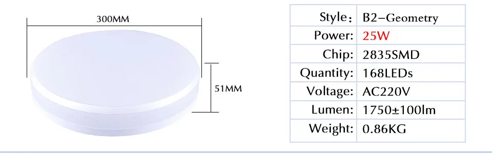 LED Ceiling light (11)