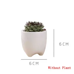 Contracted Creative Mini Teeth Flower Pots Planters Ceramic White Hydroponics Garden Pot teeth Herb plants Dental gift