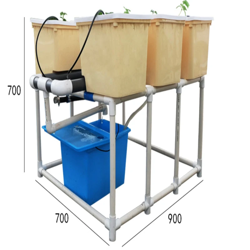 Гидропоника aquaponics помидоры выращивают голландский ковш выращивая