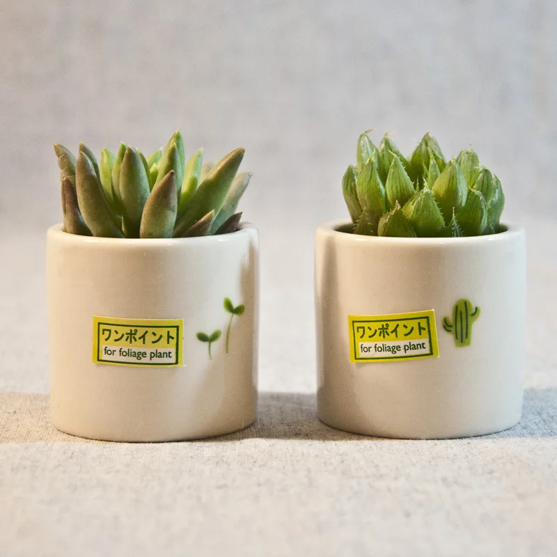 Japanese zakka mini ceramic cylindrical DAISO small pots succulents