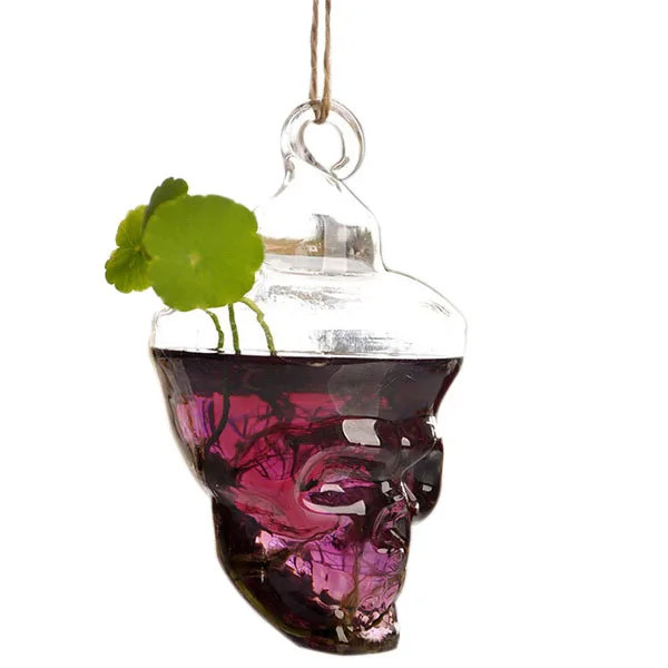 Clear Glass Terrarium Flower Vase Vase Plant Skull Shape Glass Flower Hanging Decor for Relaxing Gi