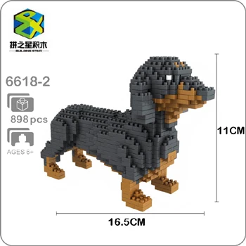 dachshund teddy