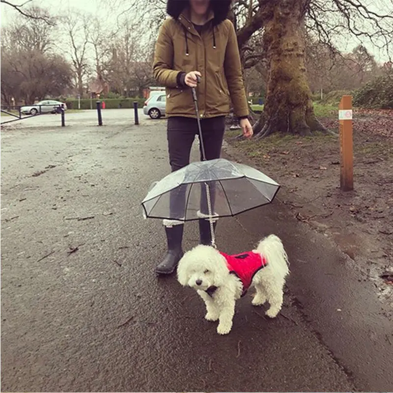 Прозрачный зонт для домашних животных с собакой ведет цепи PE Дождь прогулки буксировочный трос собаки ведут маленькая собака кошка сухой плащ поставки