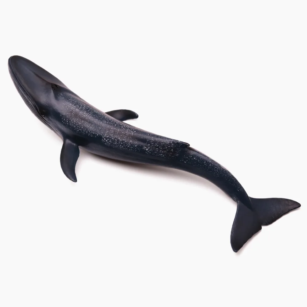  RK127-117