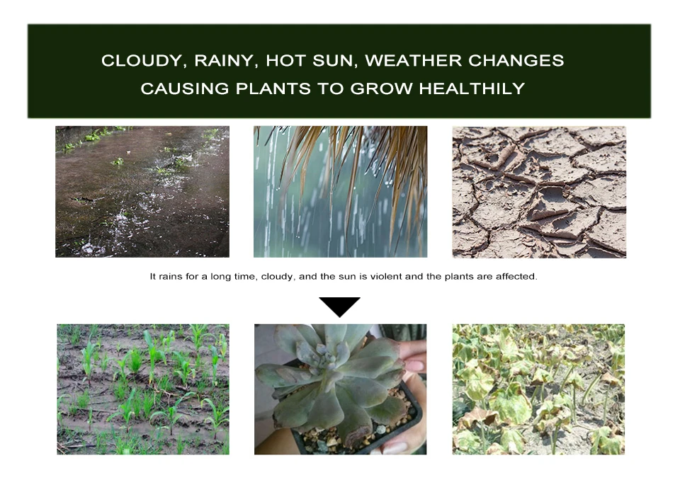 LED Grow Light Strip Tape Set DC12V Phytolamp Touch Switch Fitolamp (15)