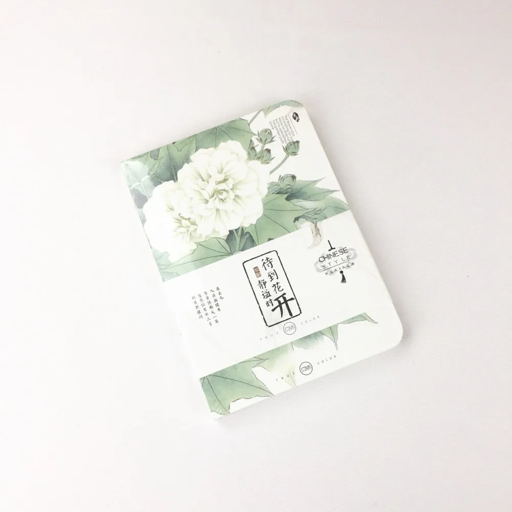 

Student diary notebook a5 bullet journal/planner/sketch book stationery kawaii green leaves Japanese stationery organizer