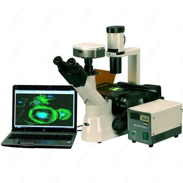 Контрастный инвертированный флуоресцентный микроскоп AmScope 40 1000x фазный