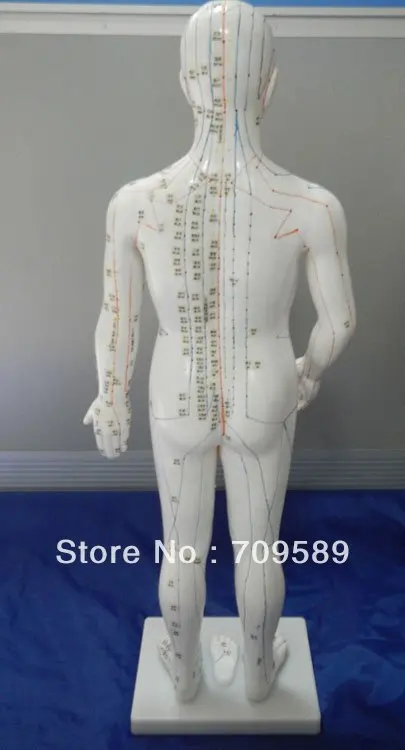 Профессиональная медицинская акупунктура 70 см модель анатомии|acupuncture model|model