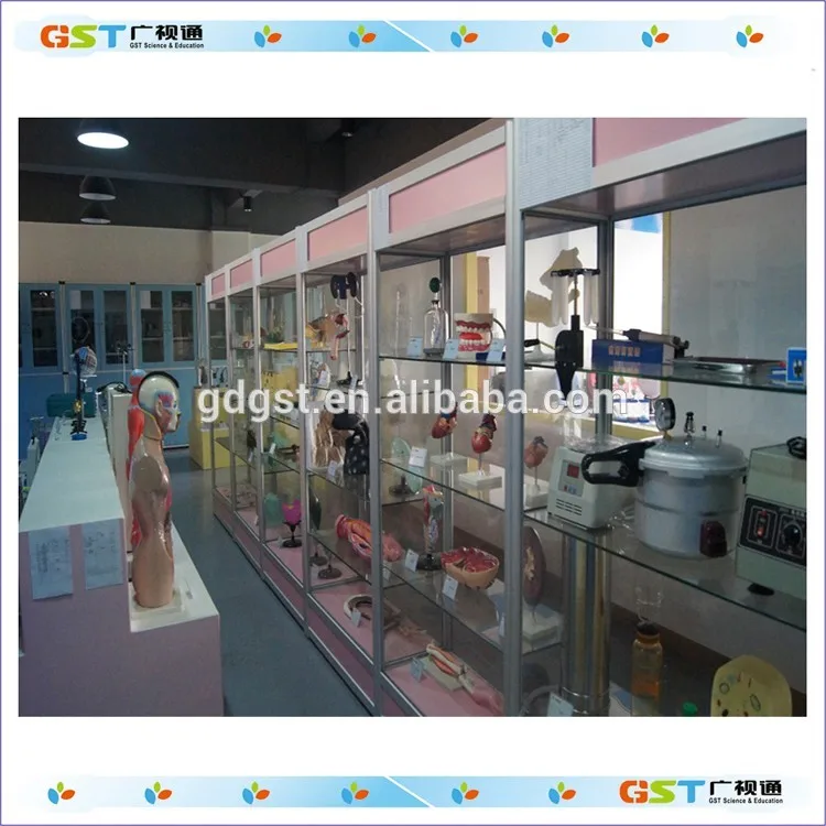 Physical Instrument Small Magnetic Needle,Diamond-shaped Magnetic Needle