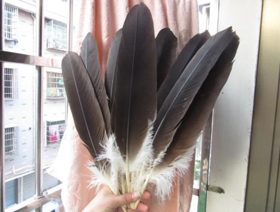 

wholesale 100 rare natural eagle feathers 40-45 cm/16-18 inches celebration decoration Jewelry accessories stage performance diy