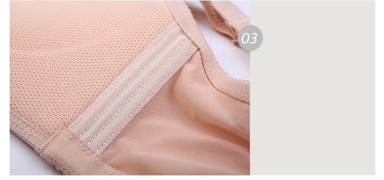 3379575256_891238013