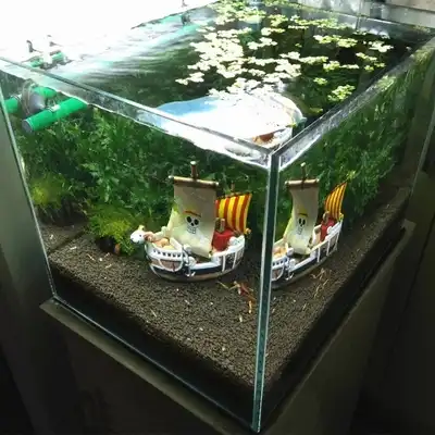 ワンピース 海泥棒王 新製品海泥棒王マイリ海賊船モデル水族館の水槽造園クライミングボックス飾る 水槽用ハビタットデカール Aliexpress ワンピース 海泥棒王 新製品海泥棒王マイリ海賊船モデル水族館の水槽造園クライミングボックス飾る 水槽用ハビタットデカール Aliexpress