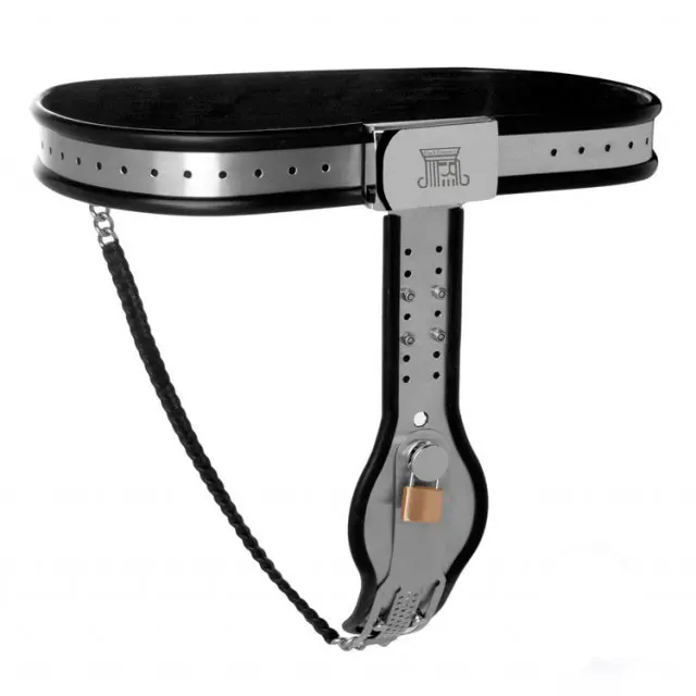 female chastity belt  (11)