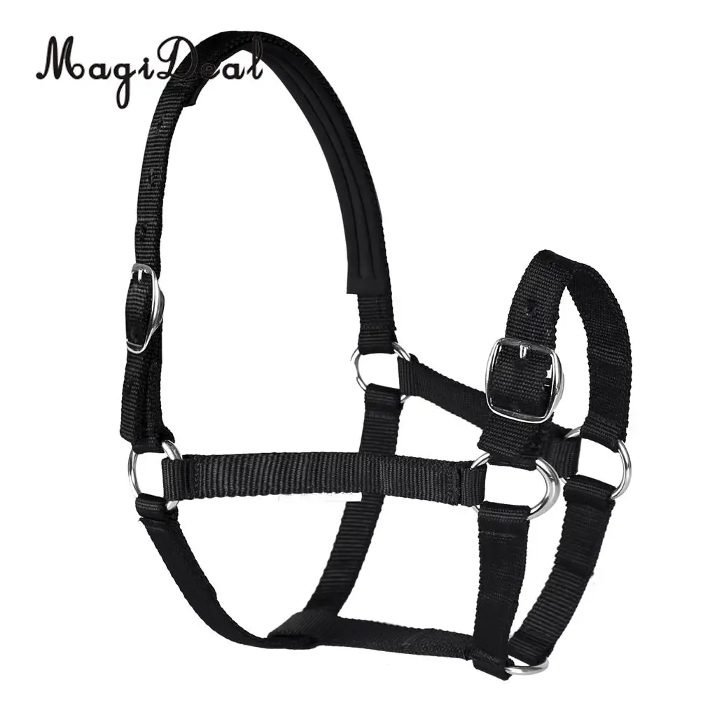 Adjustable Equestrian Western Horse Halter Fits 130cm - 165cm Horse Black/Blue/Red