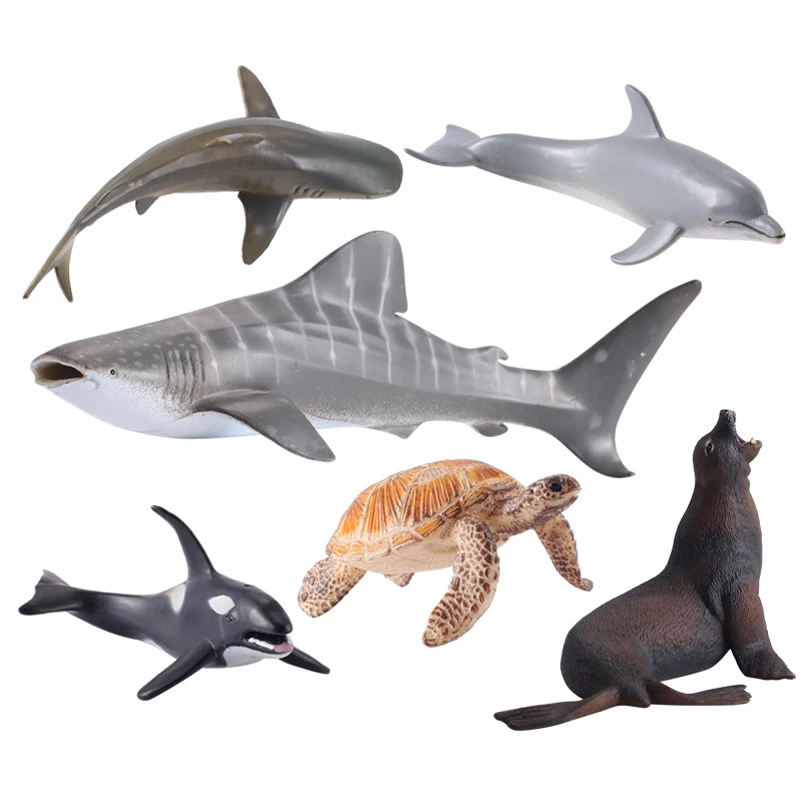 ocean educational toys