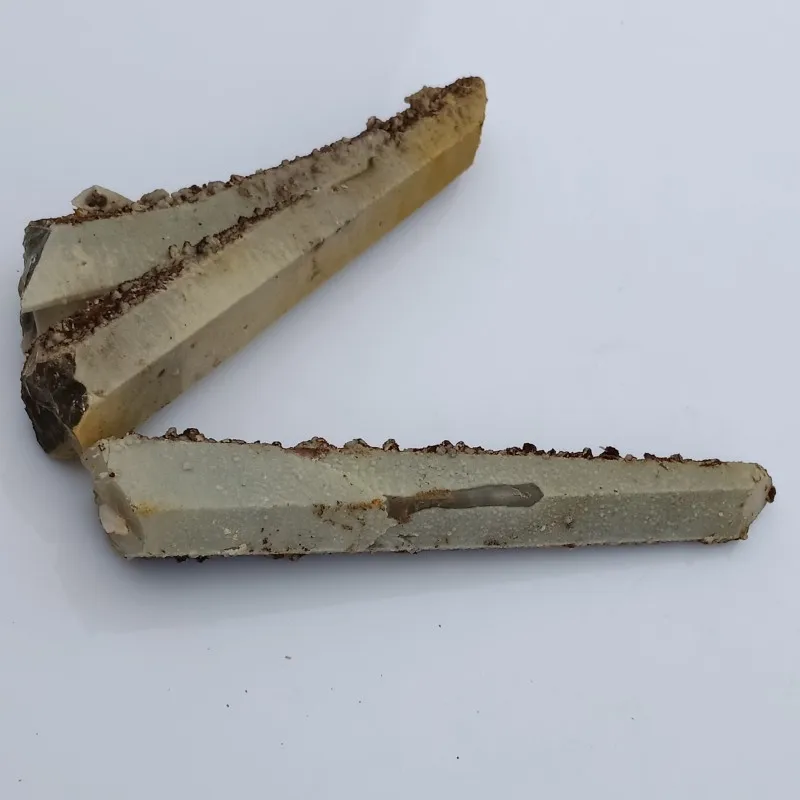 conew_img20190421084432