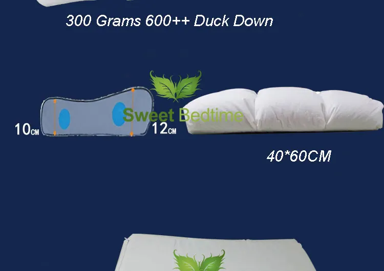 duck-down-surround-latex-pillow-insert_ (3)