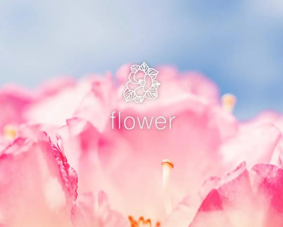 QQ20190318190932