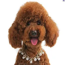 The new 2017 pearl pet collar alloy diamond dog necklace jewelry pet bow necklace 10pcs