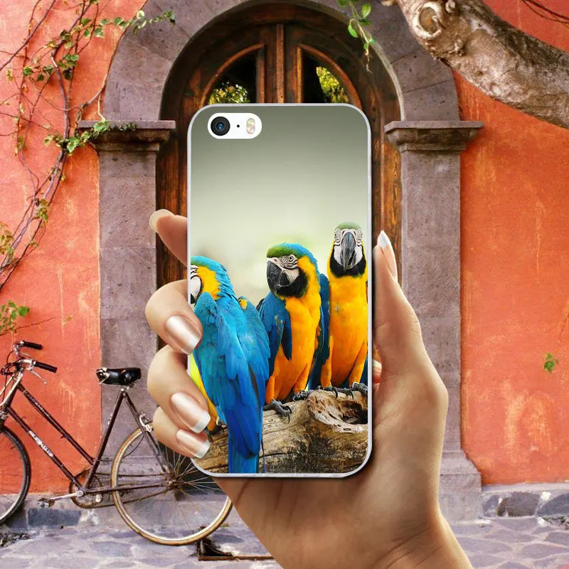 Силиконовые мягкие чехлы из ТПУ для мобильных телефонов iphone 7 6 6 S 8 PLUS X XR XS Max 5 5S SE 5C 4 4s Shell Hot попугай Ара Peafowl Bird - Цвет: Photo 8