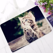 CAMMITEVER Praying Cat Wolf Rug Rubber Welcome Doormat Runner Indoor Outdoors Cat Floor Door Mats