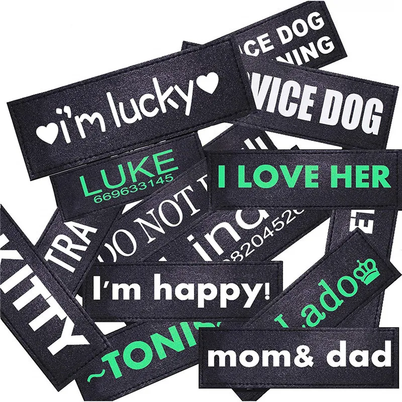 FML-Pet-ID-Tags-Light-at-Night-Fluorescent-Personalized-Stickers-For-Harness-Collars-2PC-Removed-Glow