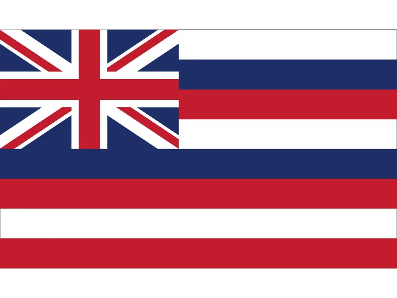 3x5 футов Гавайский флаг 90*150 см 60*90 см флаг на заказ высокого качества 100d полиэстер 30*45 см Автомобильный флаг