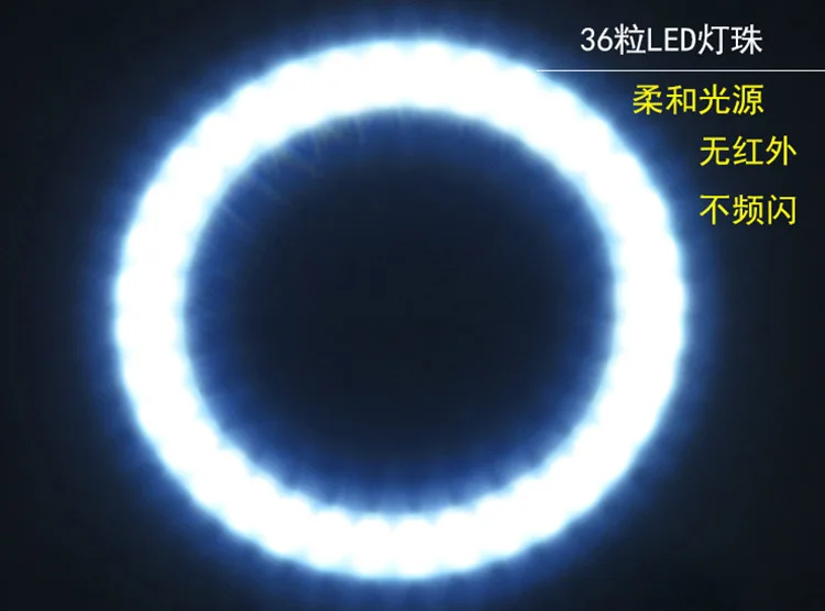 8955846278_281943367