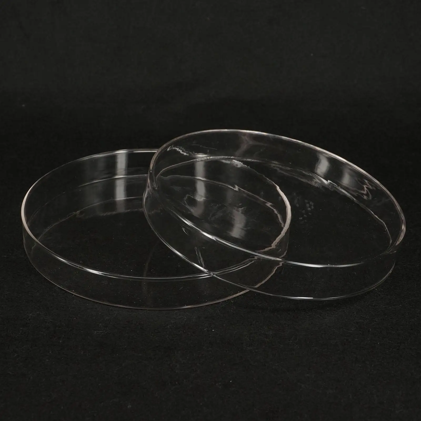 200mm Borosilicate Glass Petri Culture Dish with Lids For Lab Bacterial