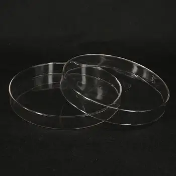 

200mm Borosilicate Glass Petri Culture Dish with Lids For Lab Bacterial Yeast