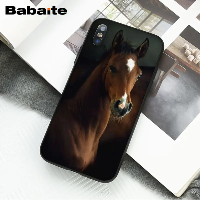 Horse Animal