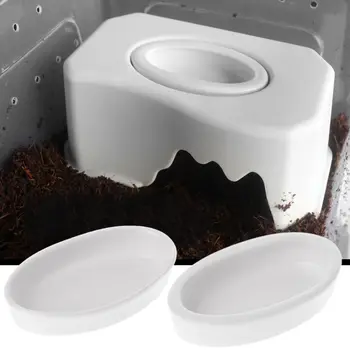 

Reptile Bowl Turtle Feeder Water Food Dish Lizard Snake Basin Worm Anti Escape Bowl Pet supplies