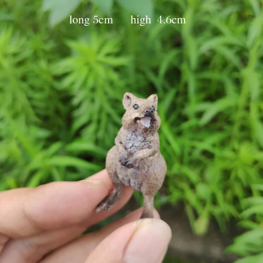 

Setonix brachyurus Animal simulation Collection of toys
