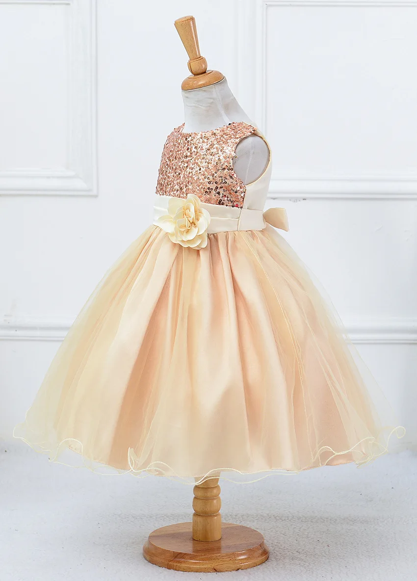 2522634101_1365310624