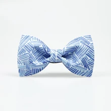 Модный мужской галстук-бабочка мужской бледно-голубой свежий художественный Жених шафера Свадебный хост emcee подарок для выпускника