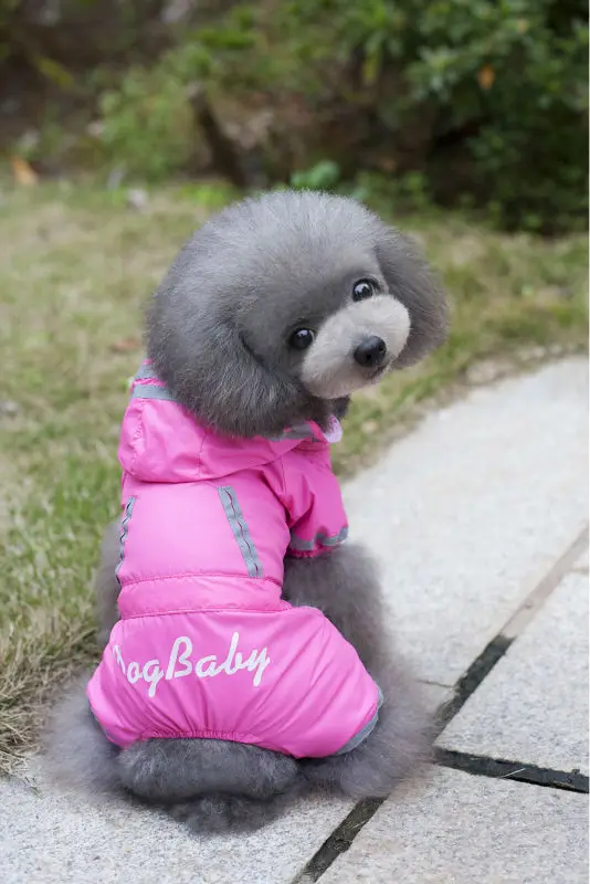 Y67_2017_New_Pet_Dog_Raincoat_Jacket_Clothes_Cute_Puppy_Dogs_Cats_Waterproof_4_legs_Jumpsuit_Rainwear_Teddy_dog_Slicker_ (9)
