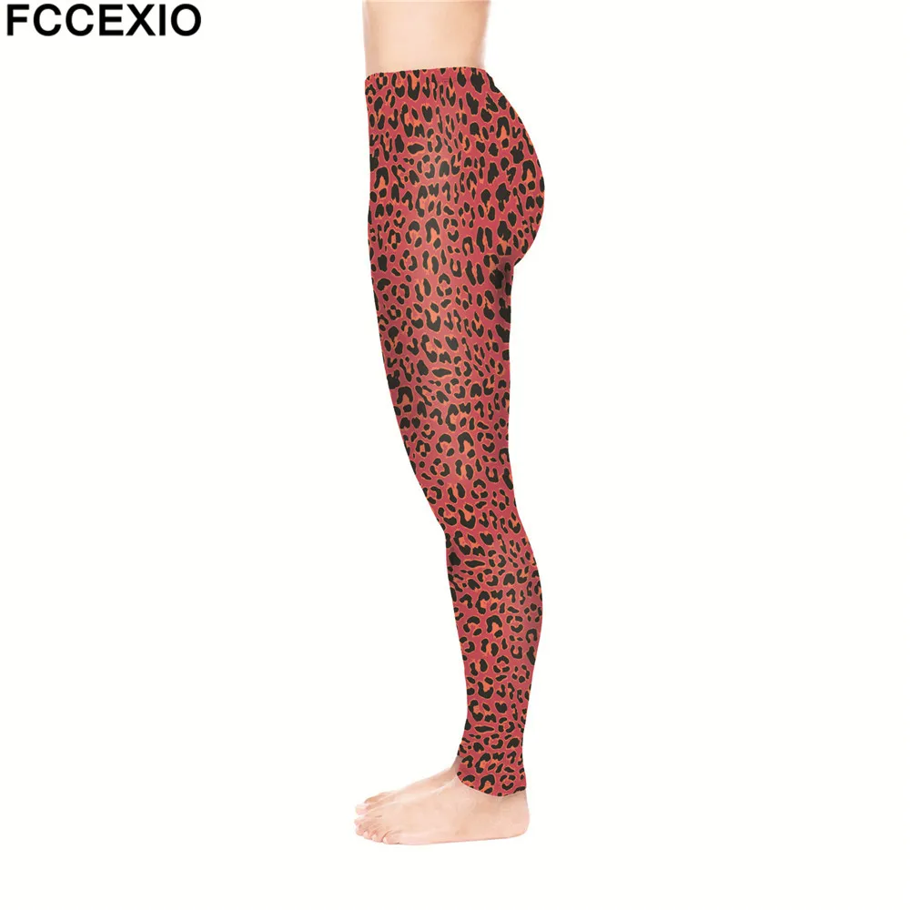 54674 red leo (3)