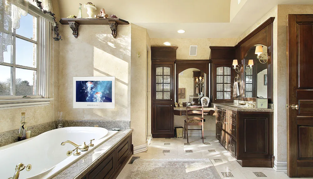 Frameless Waterproof TV