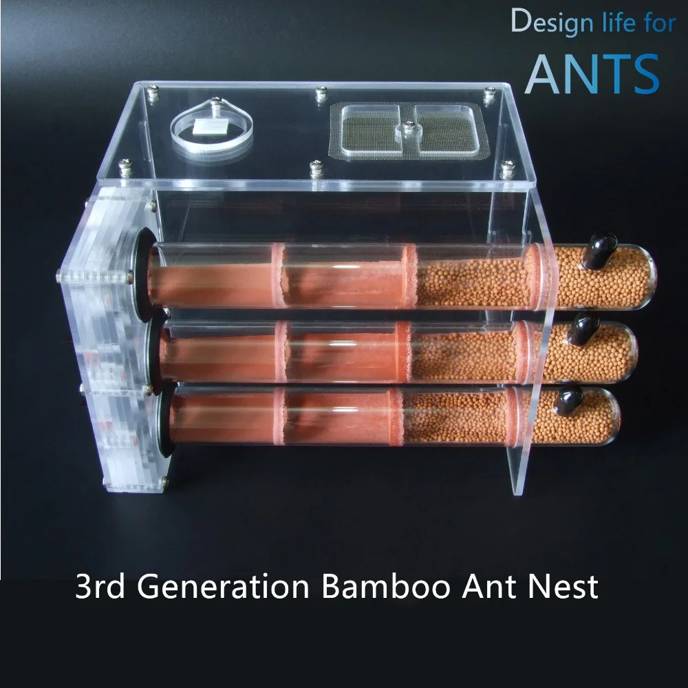 3pcs-bamboo-ant-nest (1)
