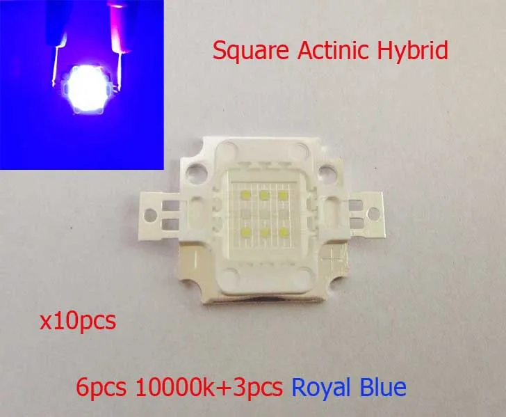 Квадратный актиничный Гибридный 10 Вт Холодный белый 10000 K+ Королевский синий светодиодный светильник высокой мощности