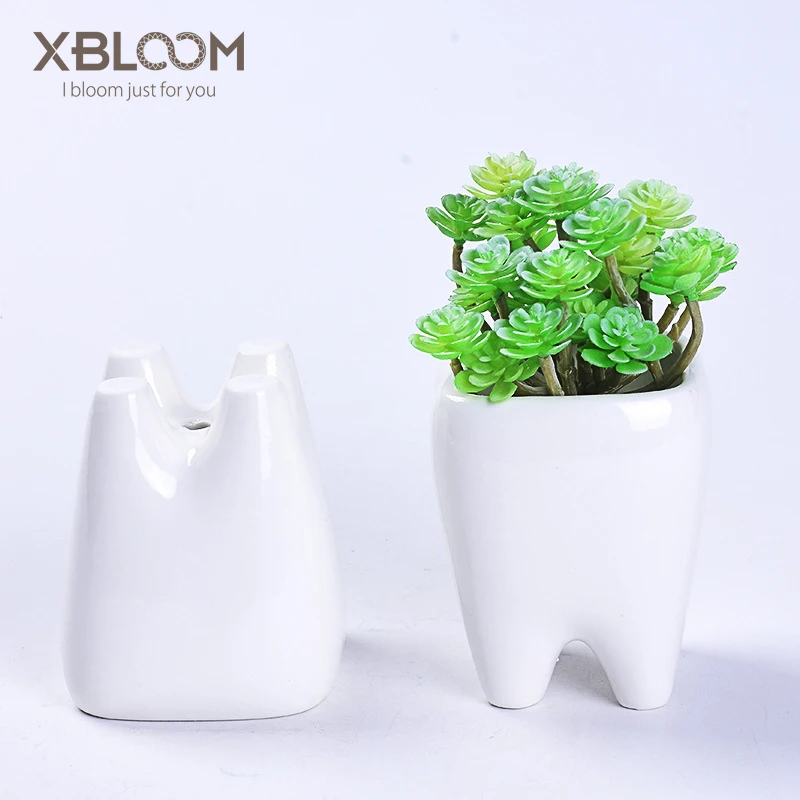 

Teeth flowerpot vase tooth statue model dental clinic gift dental toy dental implant tooth orthodontic halloween garden decor